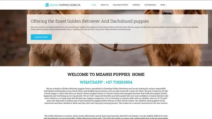 Screenshot of