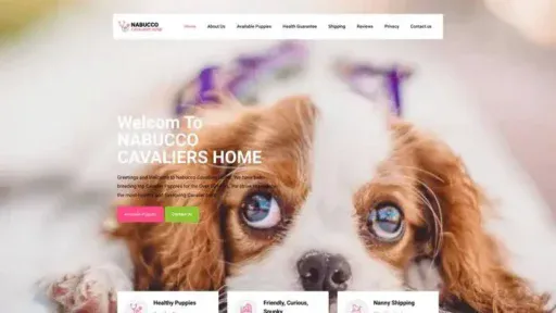 Screenshot of