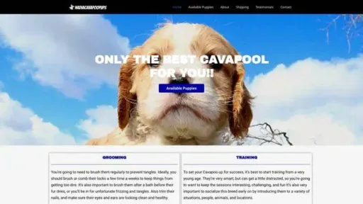 Screenshot of
