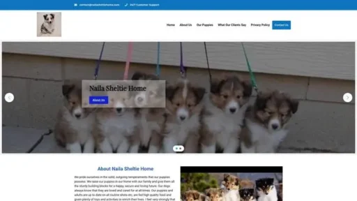 Screenshot of