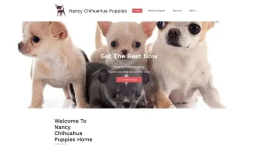 Screenshot of