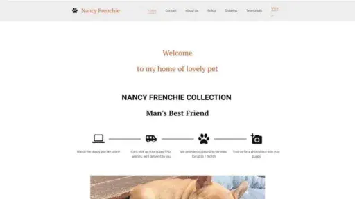 Screenshot of