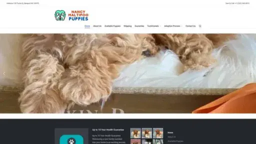 Screenshot of