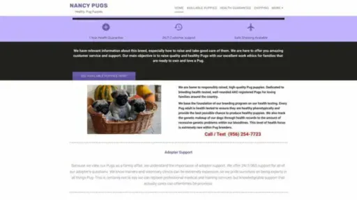 Screenshot of||