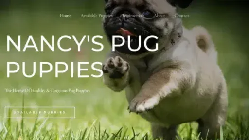 Screenshot of