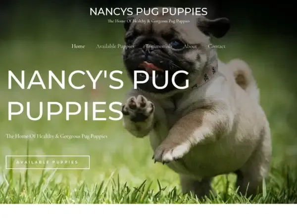 Screenshot of