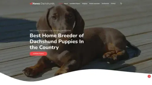 Screenshot of
