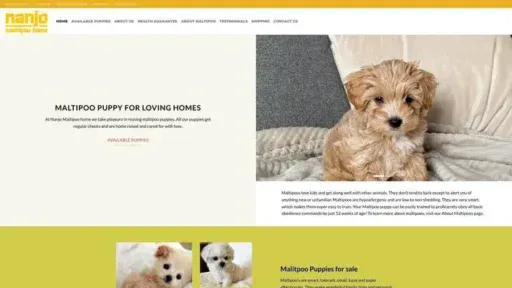 Screenshot of