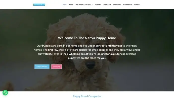 Screenshot of