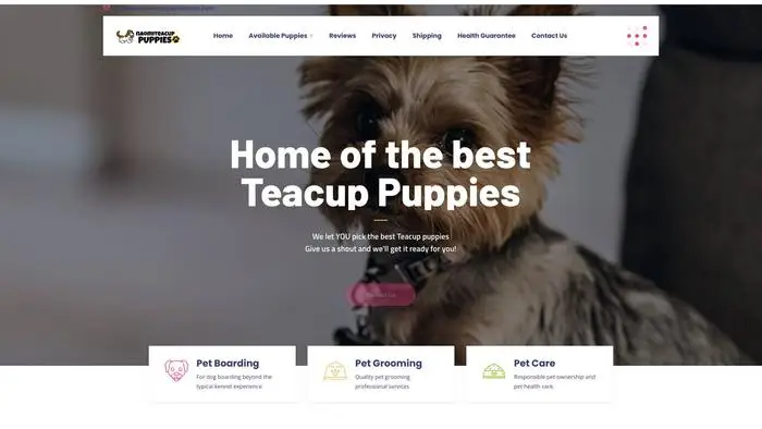 Screenshot of