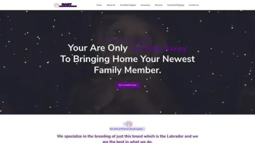 Screenshot of