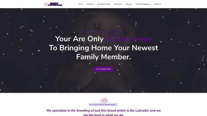 Screenshot of