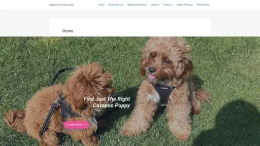 Screenshot of
