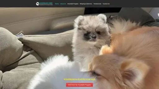 Screenshot of