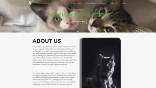 Screenshot of