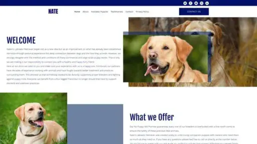 Screenshot of