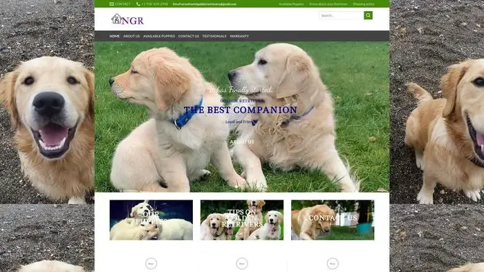 Screenshot of