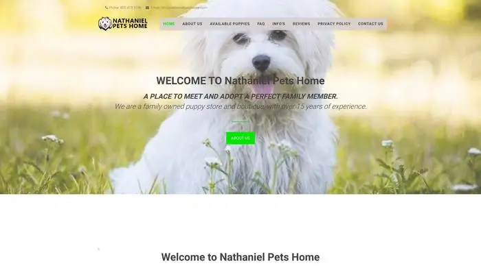 Screenshot of