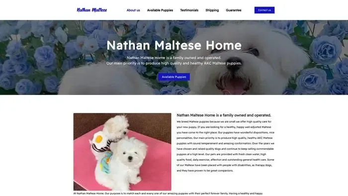 Screenshot of
