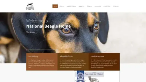 Screenshot of