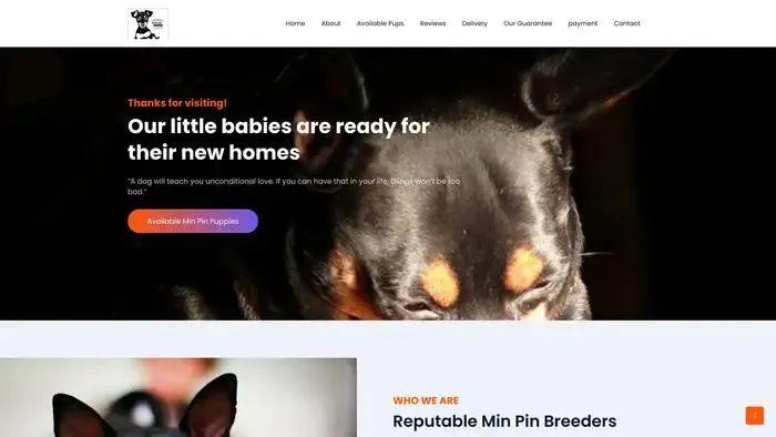 Screenshot of