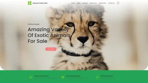 Screenshot of