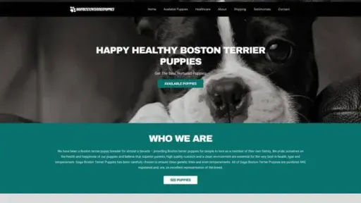 Screenshot of