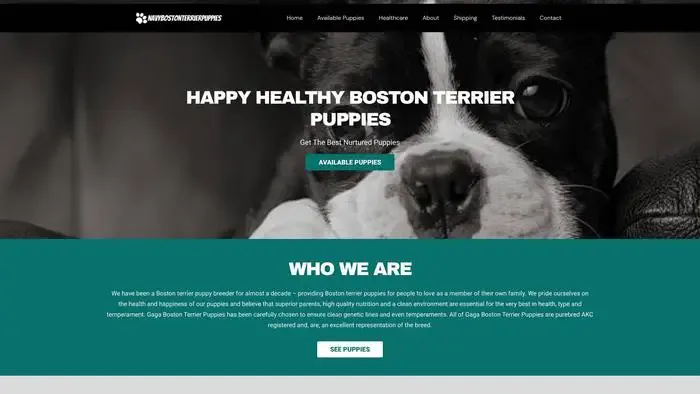 Screenshot of