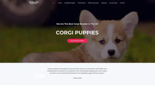 Screenshot of