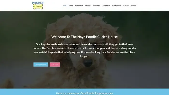 Screenshot of