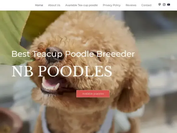 Screenshot of