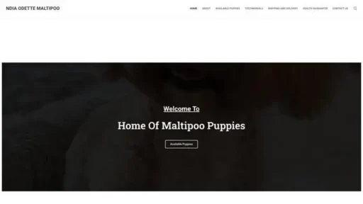 Screenshot of