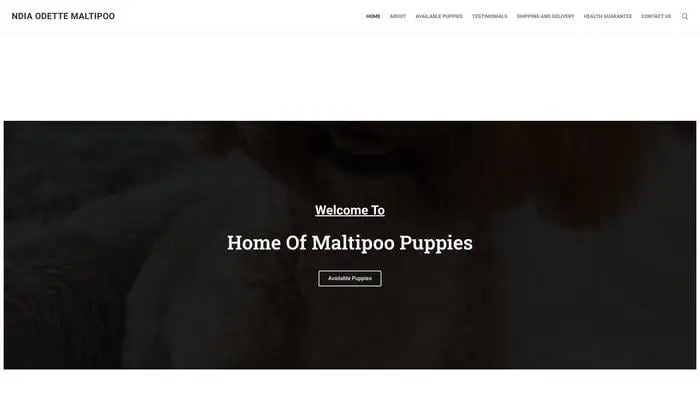 Screenshot of
