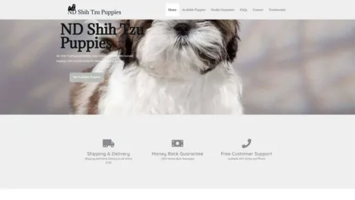 Screenshot of