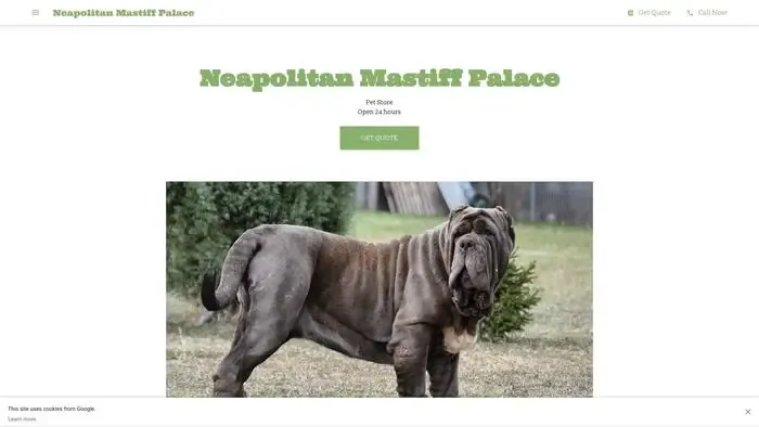 Screenshot of