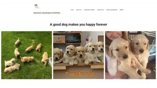Screenshot of