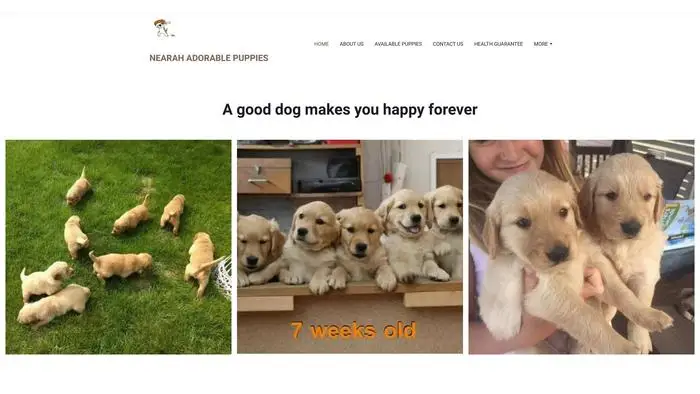 Screenshot of