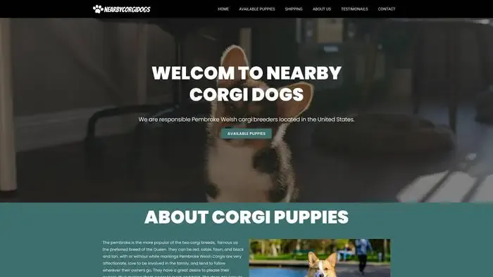 Screenshot of