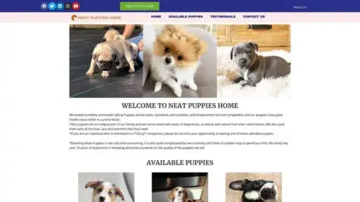 Screenshot of