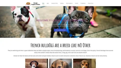 Screenshot of