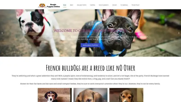 Screenshot of