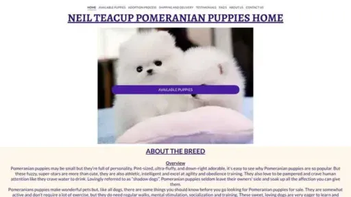 Screenshot of