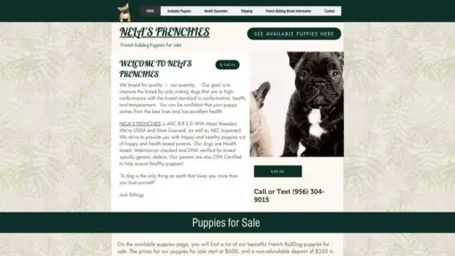 Screenshot of