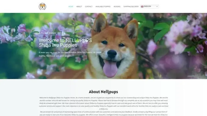 Screenshot of