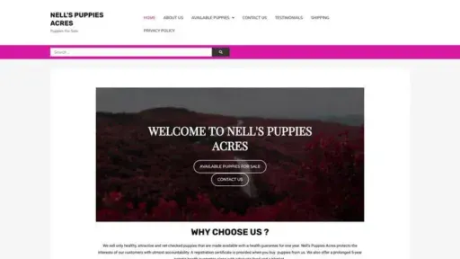 Screenshot of