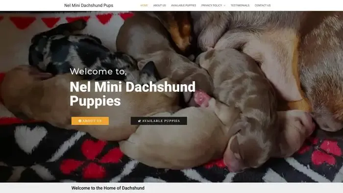 Screenshot of