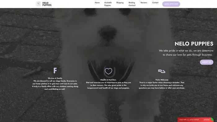 Screenshot of