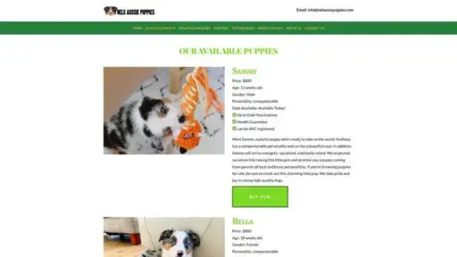 Screenshot of