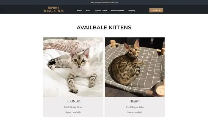 Screenshot of