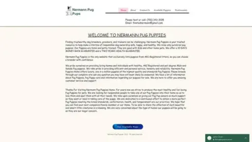Screenshot of